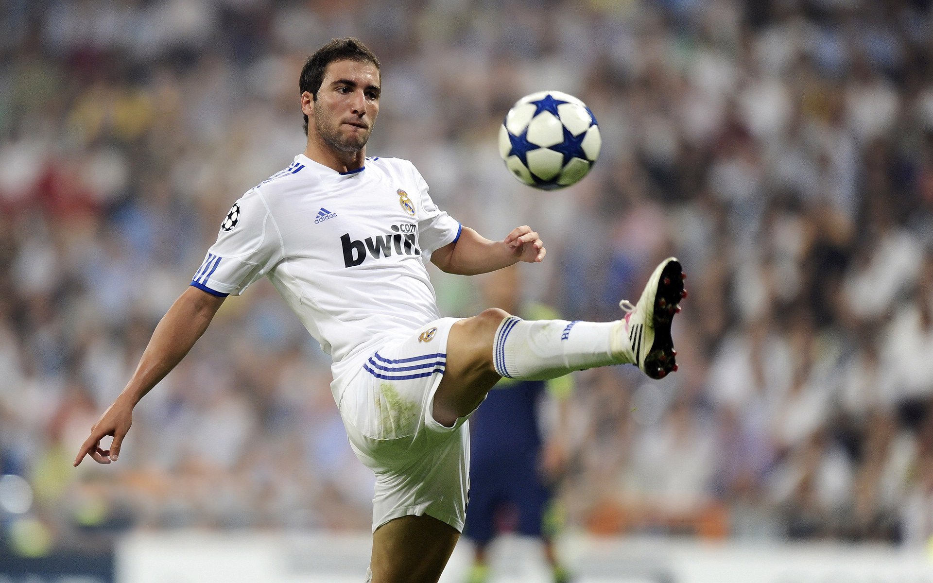 《掘金球迷期待球队在休赛期进行积极操作》，掘金球队阵容